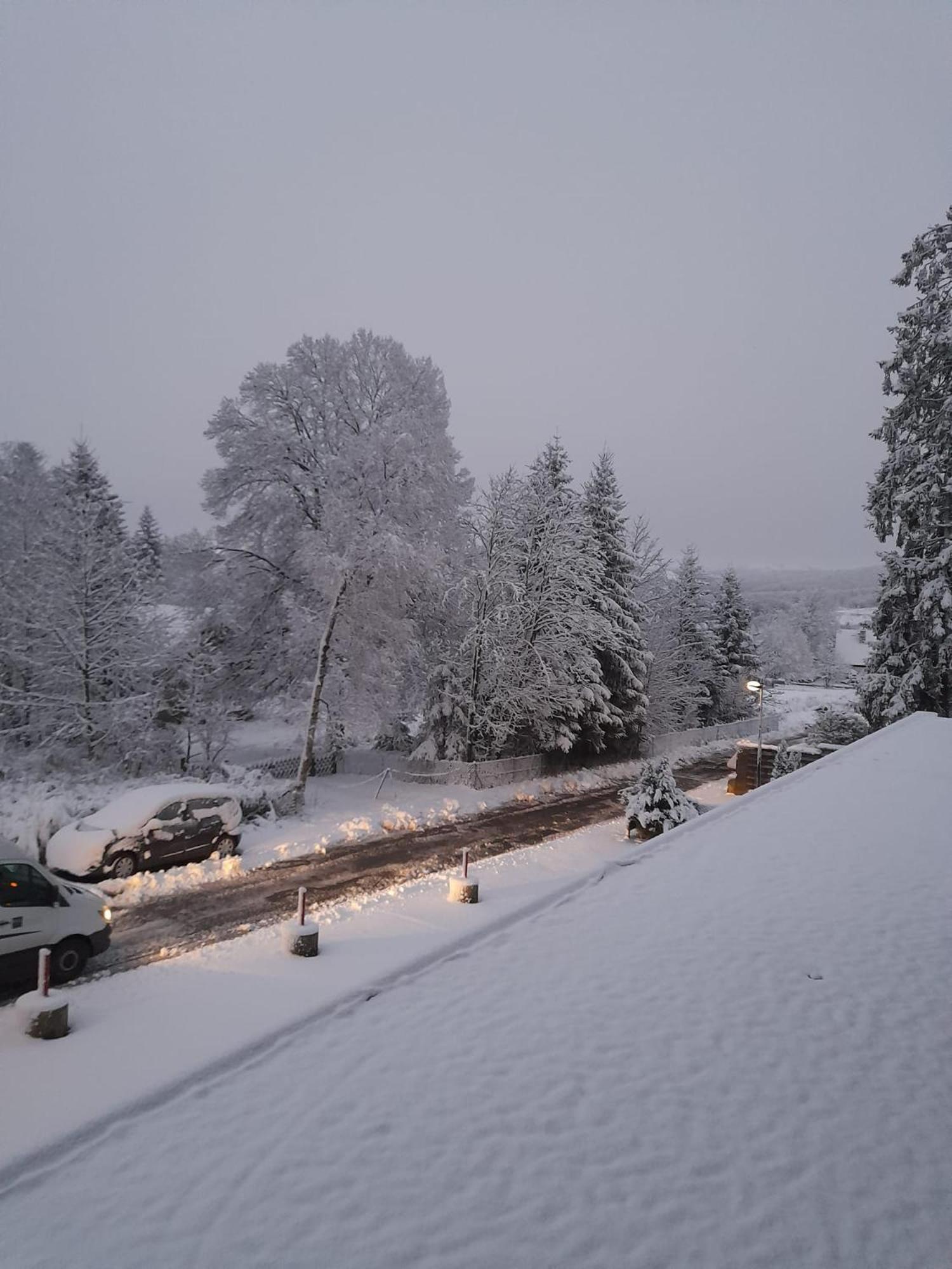 Fichtenweg 54 Winterberg Eksteriør billede